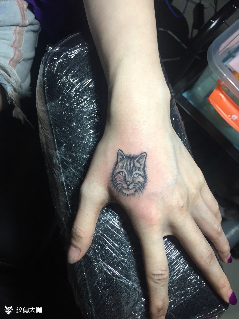 猫头盖疤_纹身图案手稿图片_va的纹身作品集