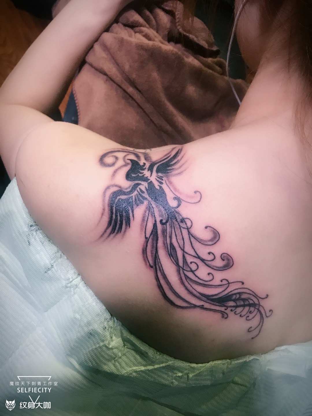 图腾凤凰_纹身图案手稿图片_樊老邪的纹身作品集