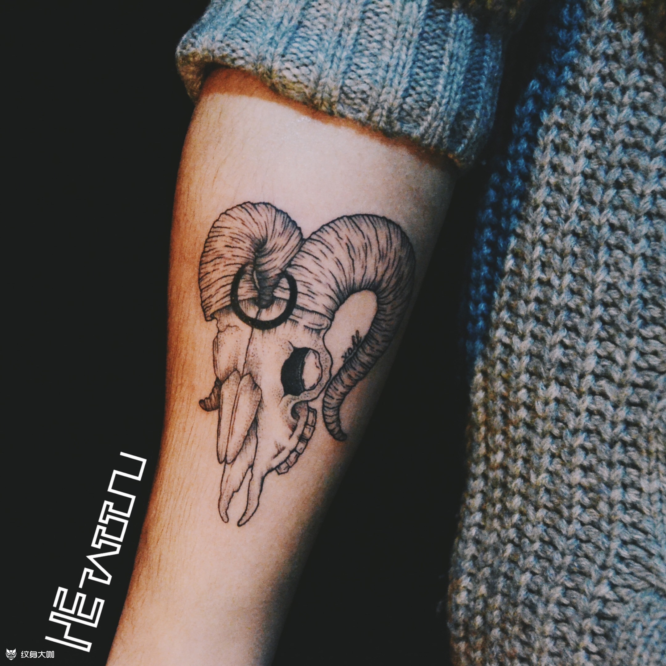 羚羊头_纹身图案手稿图片_禾萌的纹身作品集