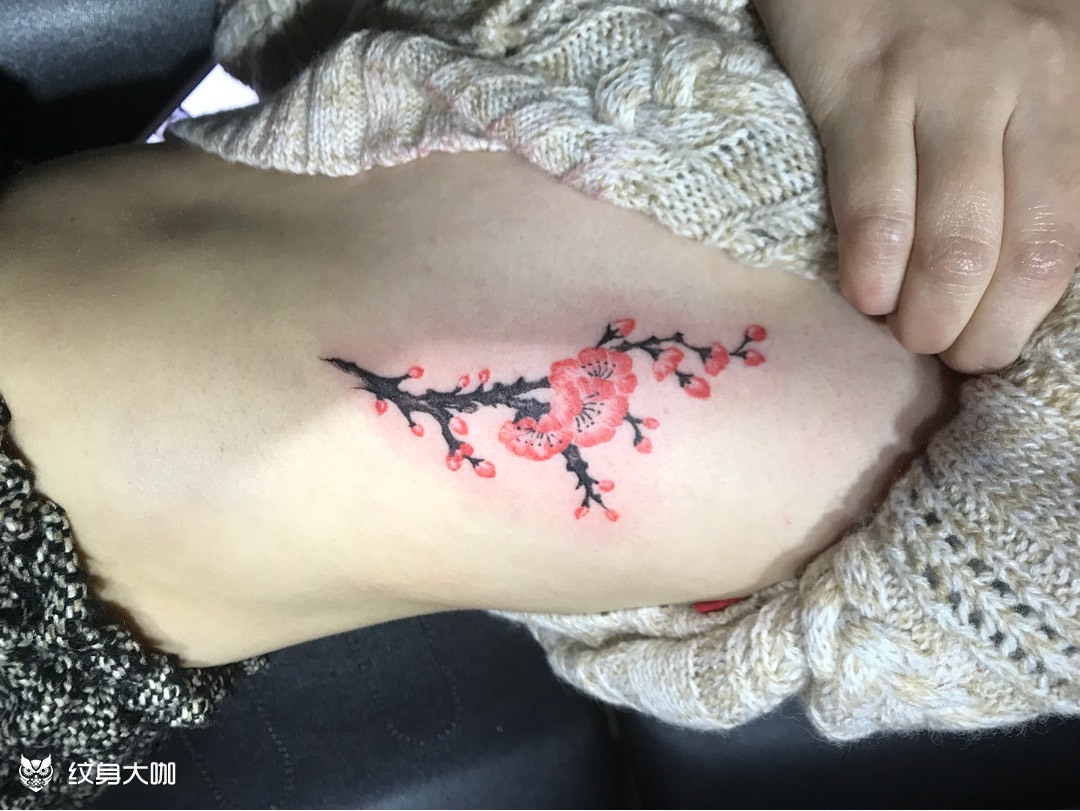 梅花_纹身图案手稿图片_陈东海的纹身作品集