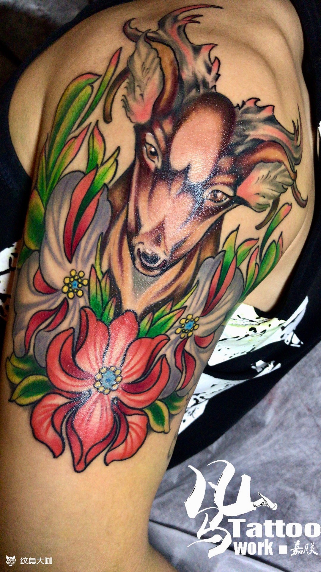 鹿_纹身图案手稿图片_嘉朕的纹身作品集