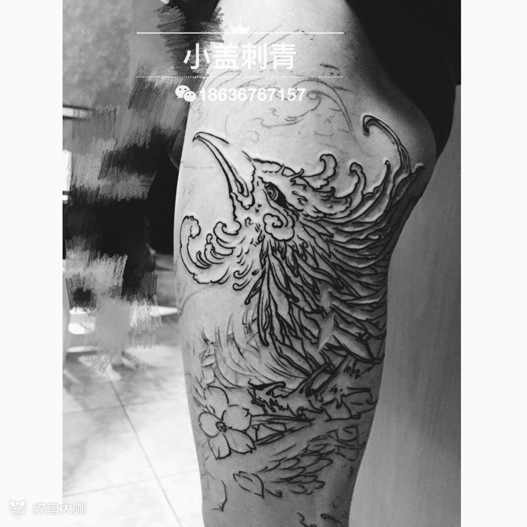 大腿凤凰线条_纹身图案手稿图片_盖嘉怡的纹身作品集