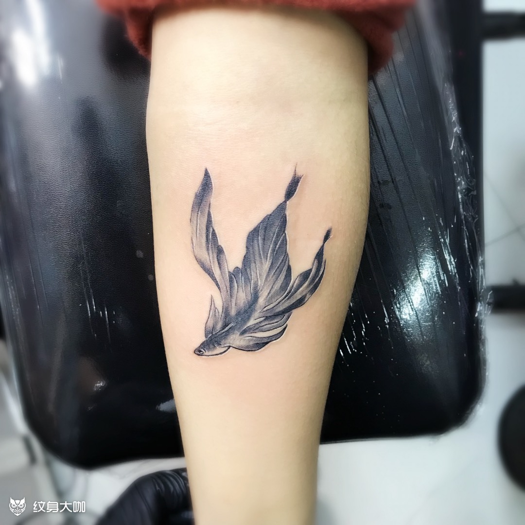 斗鱼_纹身图案手稿图片_国洪嘉的纹身作品集