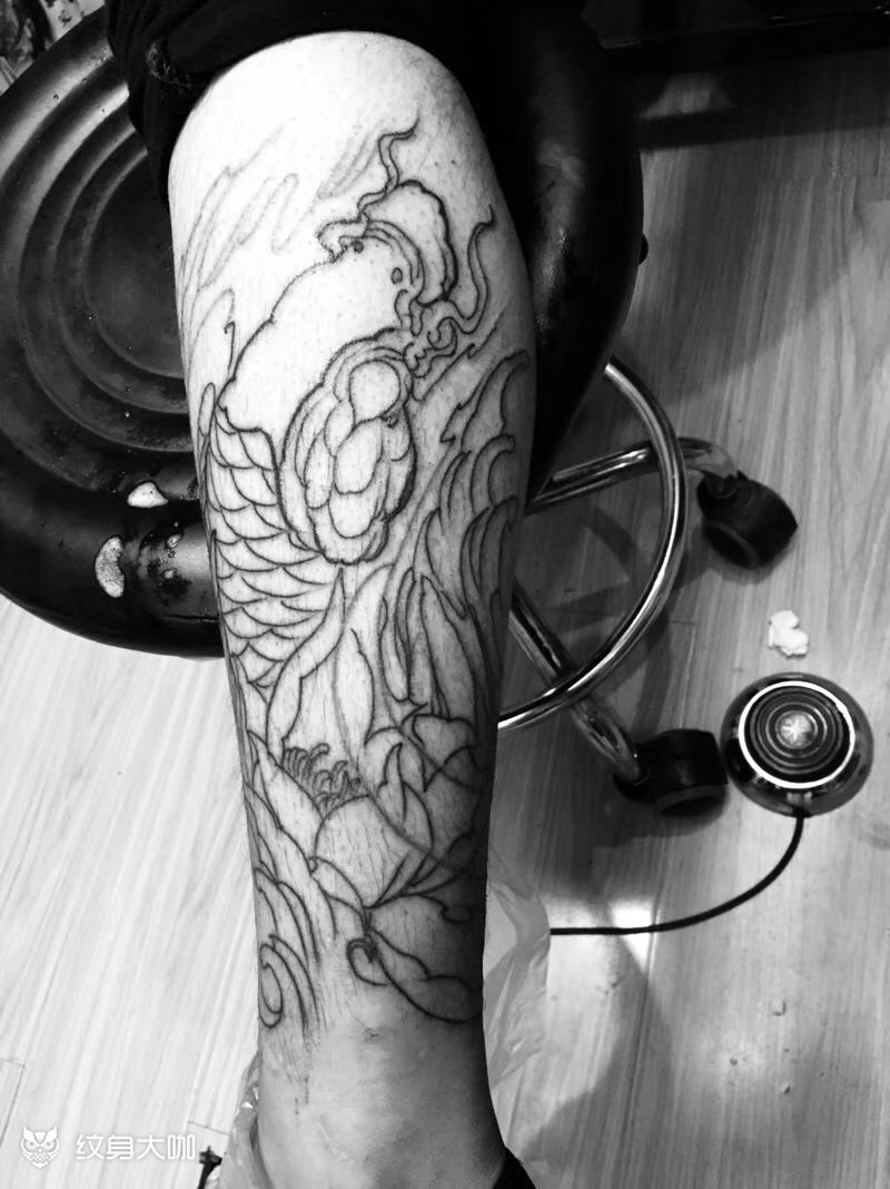 小腿鲤鱼初步割线