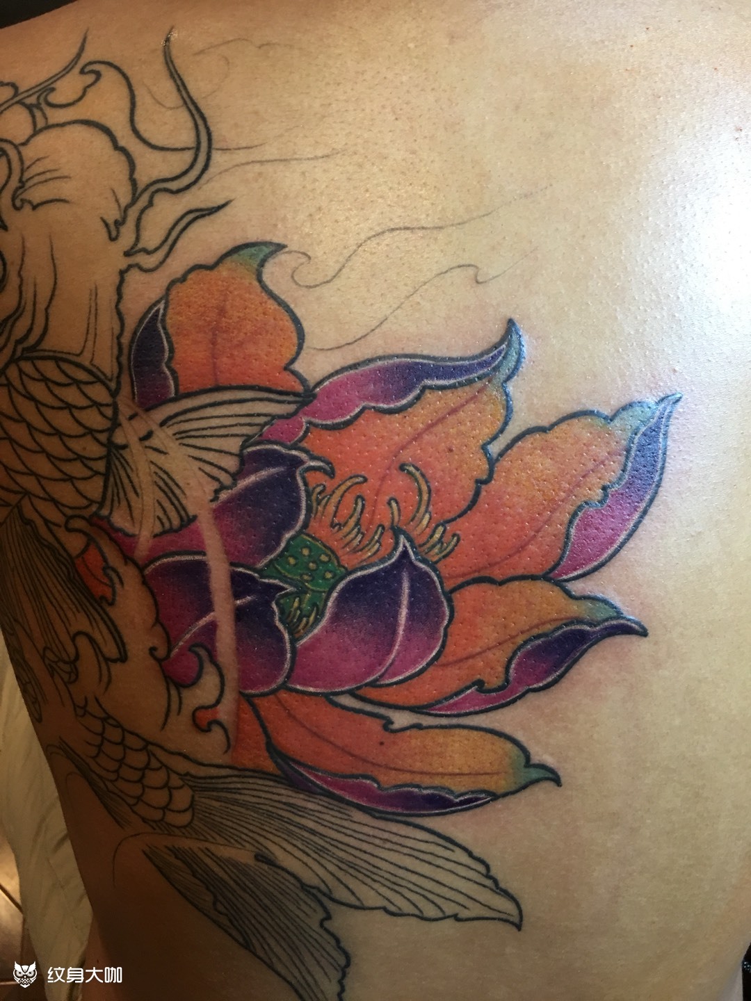 半背鱼上色_纹身图案手稿图片_ 小付的纹身作品集