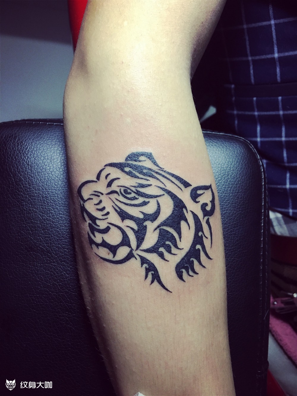 图腾虎头_纹身图案手稿图片_军军的纹身作品集