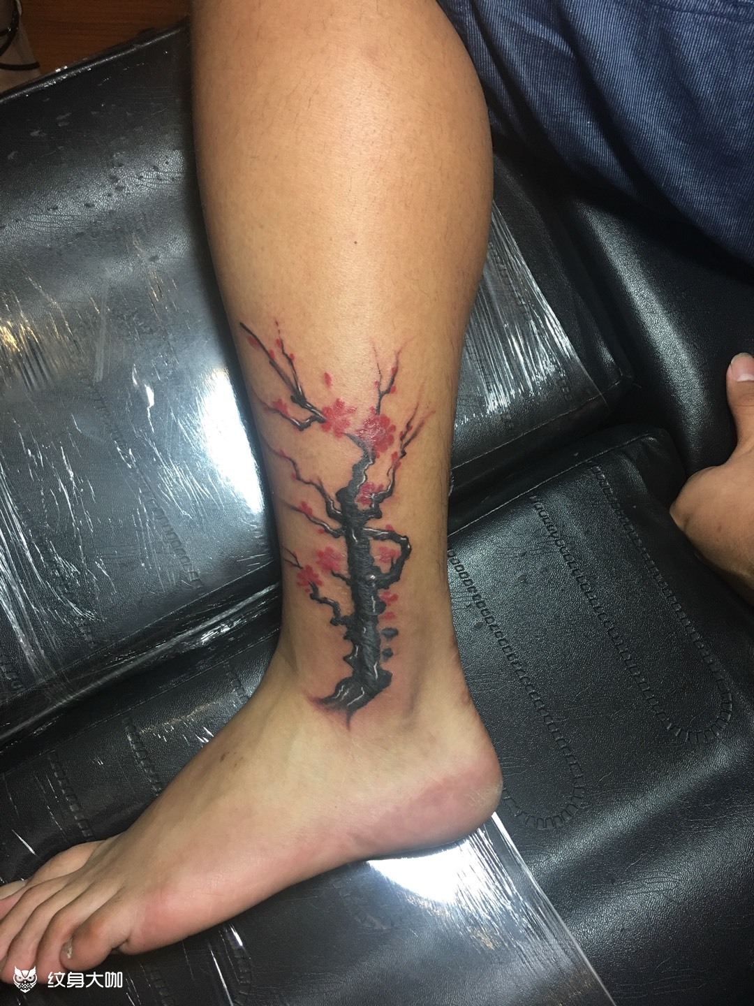 梅花遮盖手术疤痕_纹身图案手稿图片_高子豪的纹身作品集