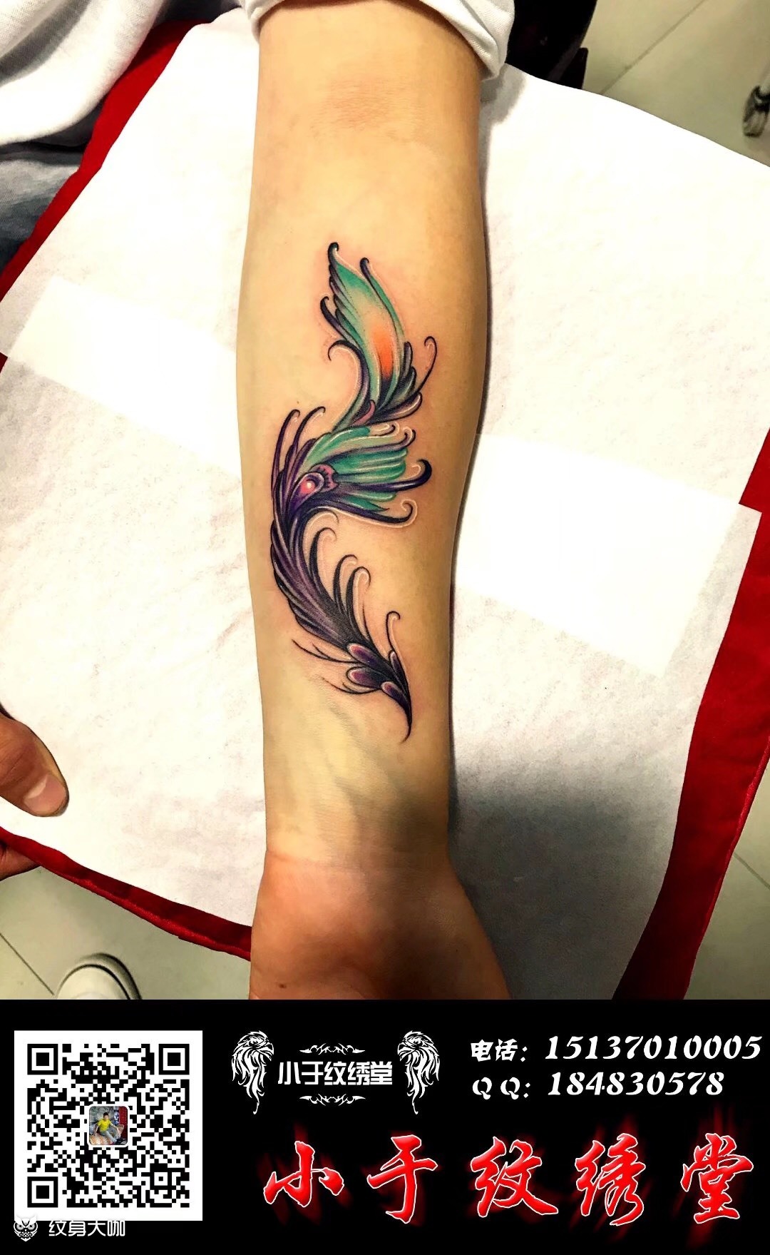 凤尾_纹身图案手稿图片_于红战的纹身作品集