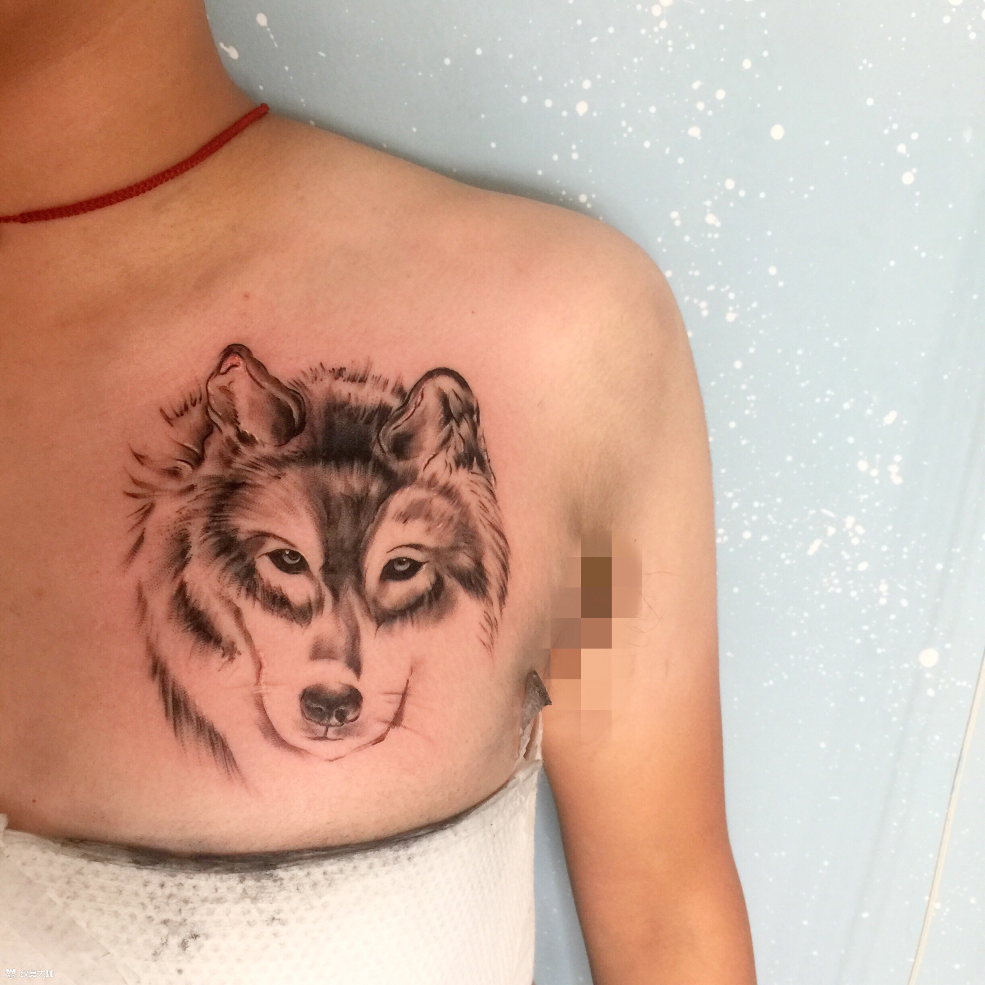 爱宠…狼_纹身图案手稿图片_大林的纹身作品集