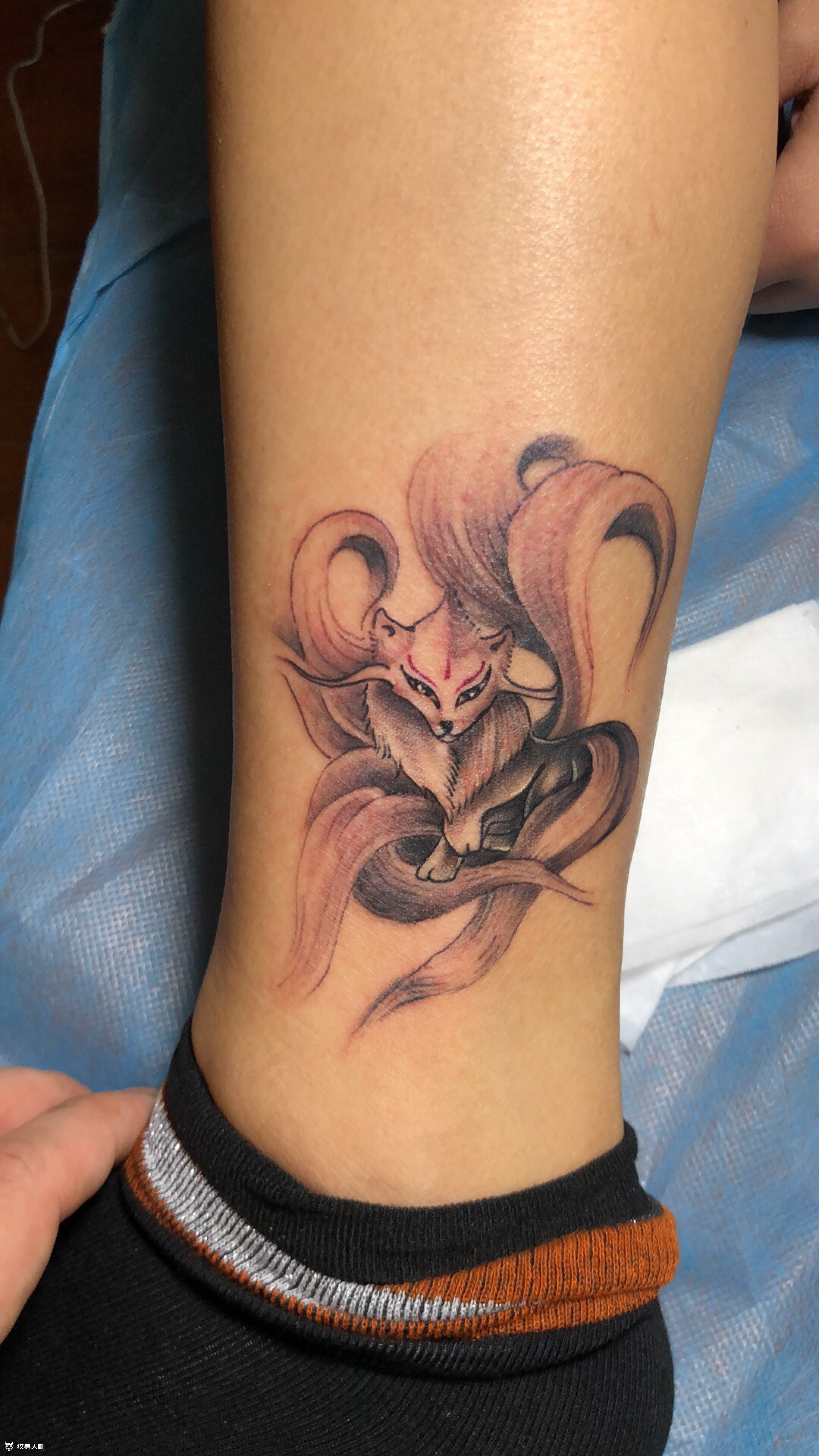 狐狸_纹身图案手稿图片_李磊的纹身作品集