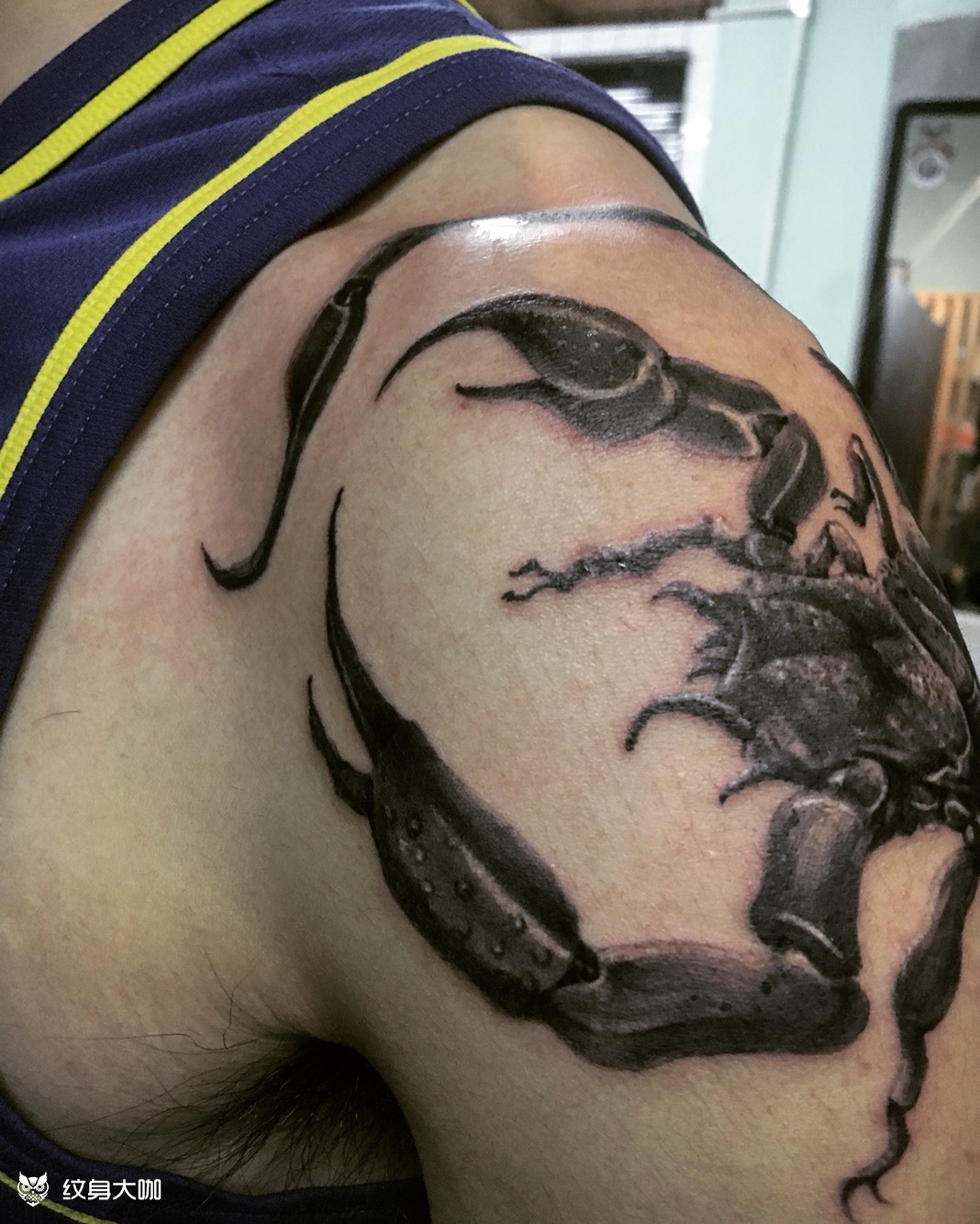 蝎子_纹身图案手稿图片_俊基的纹身作品集