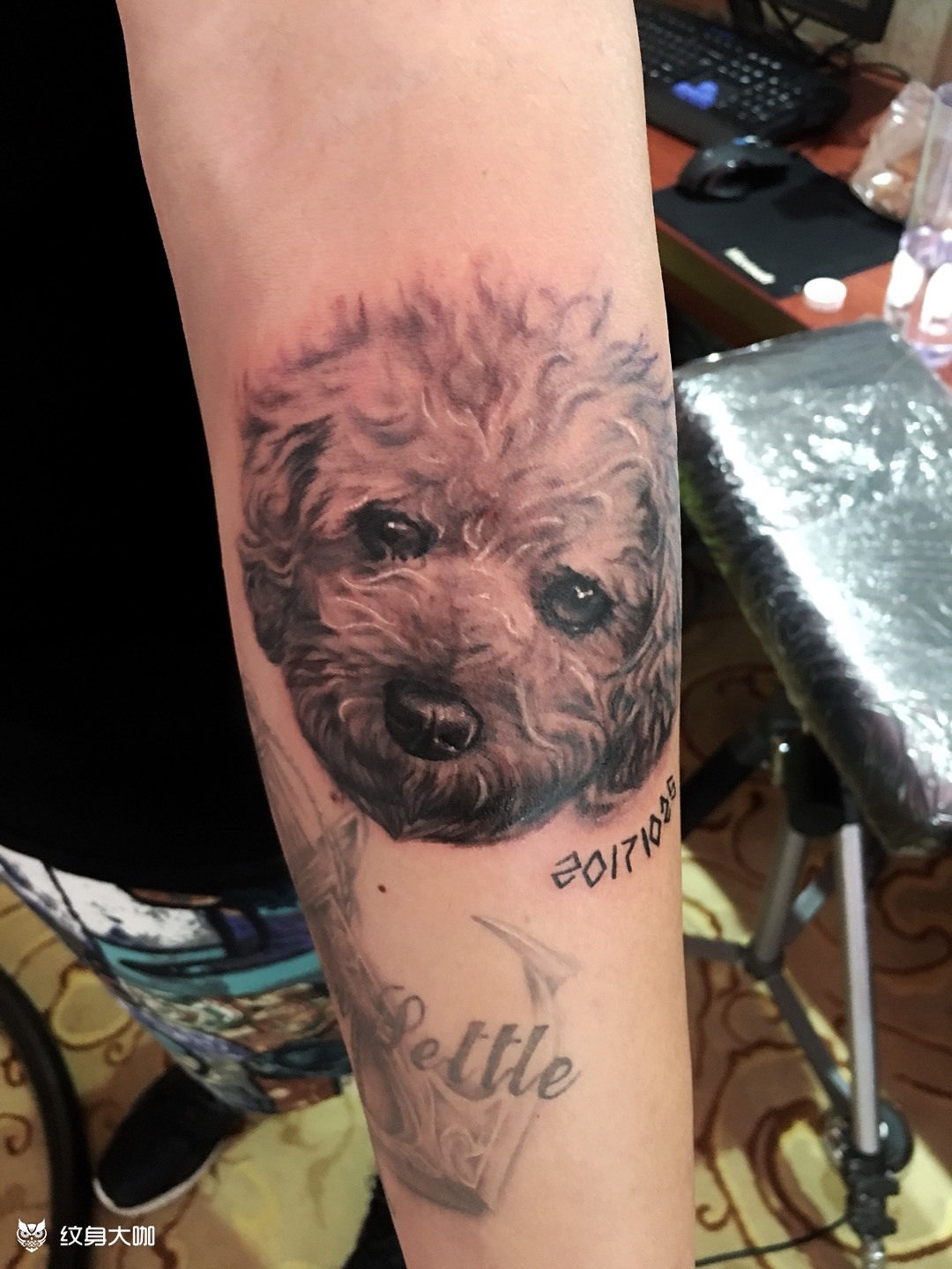 小泰迪_纹身图案手稿图片_小侃的纹身作品集