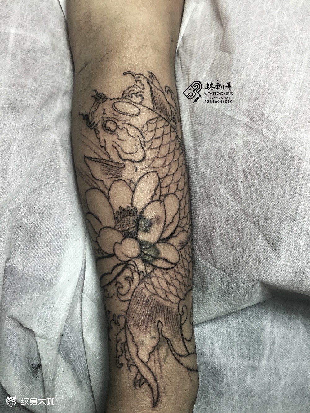 鲤鱼线条_纹身图案手稿图片_vivi an的纹身作品集