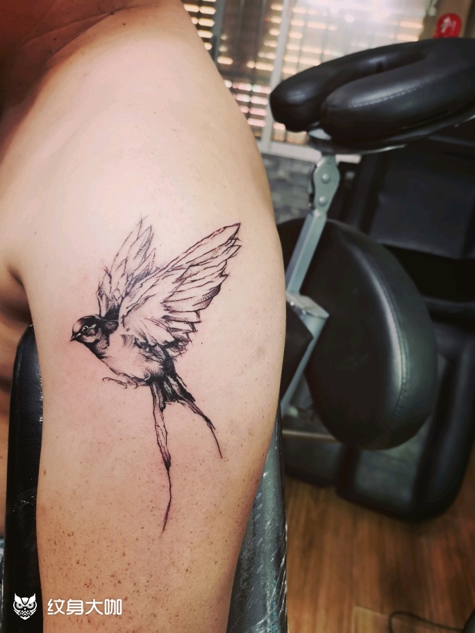 鸟_纹身图案手稿图片_云上的纹身作品集