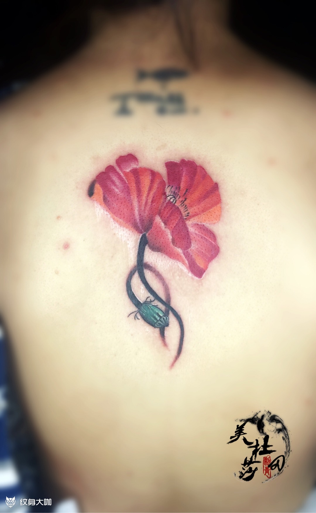 纹身图案手稿图片_田姐姐的纹身作品集