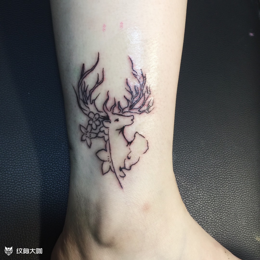 脚踝鹿_纹身图案手稿图片_十一的纹身作品集