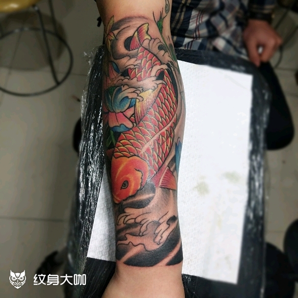 鲫鱼包小臂_纹身图案手稿图片_雕青坊的纹身作品集