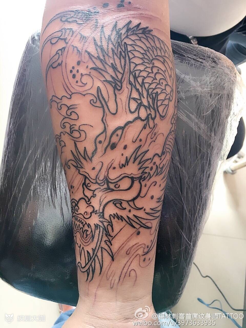 小臂龙 手臂 传统 手稿 作品简介:无