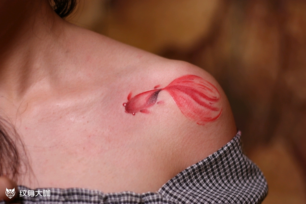 肩部小金鱼_纹身图案手稿图片_唐黄的纹身作品集