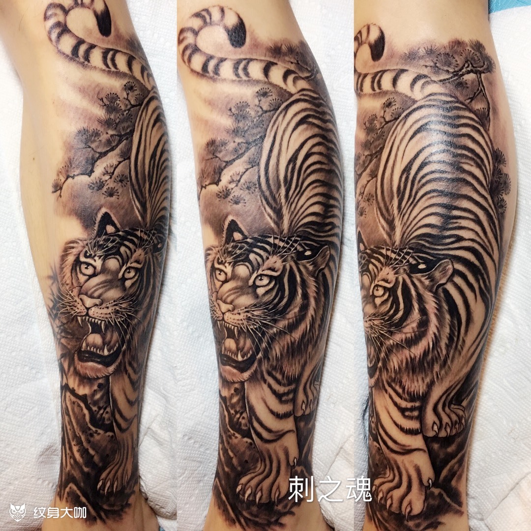 下山虎_纹身图案手稿图片_李月亮的纹身作品集