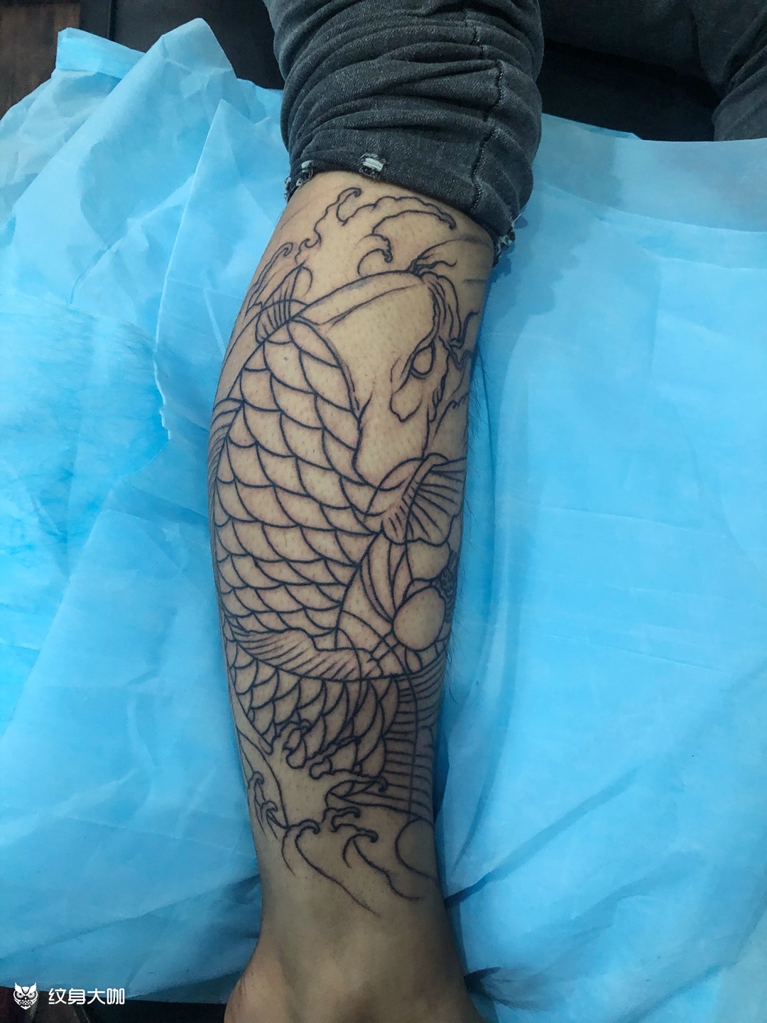 半包小腿鲤鱼线条完成 待续上色_纹身图案手稿图片_罗晓晖的纹身作品