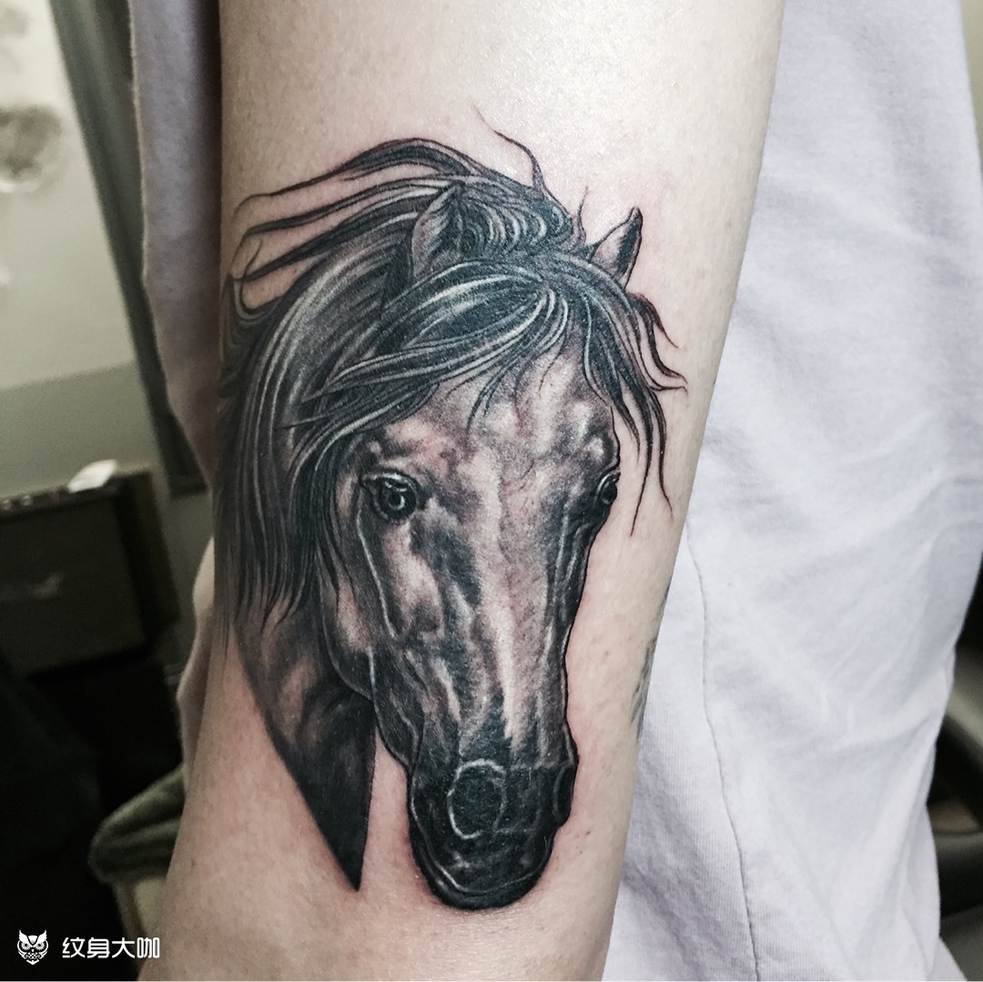 纹身图片马头图片