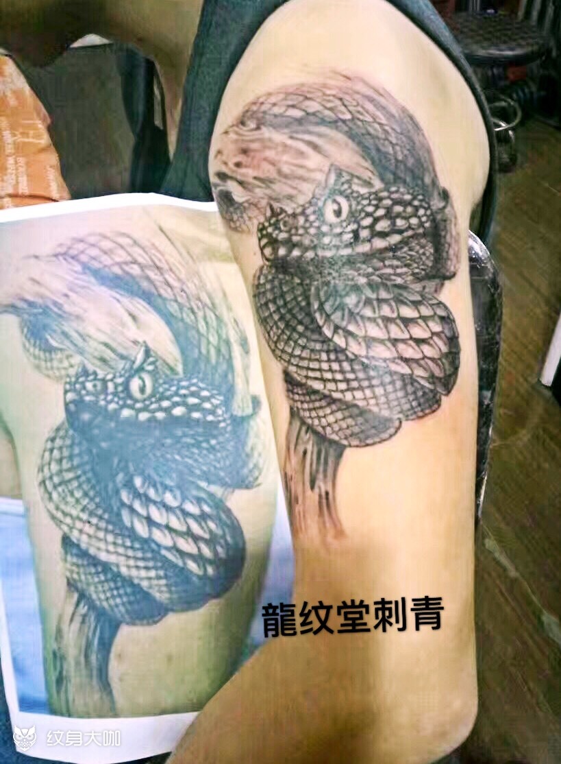 蝰蛇_纹身图案手稿图片_龙纹堂于化龙的纹身作品集