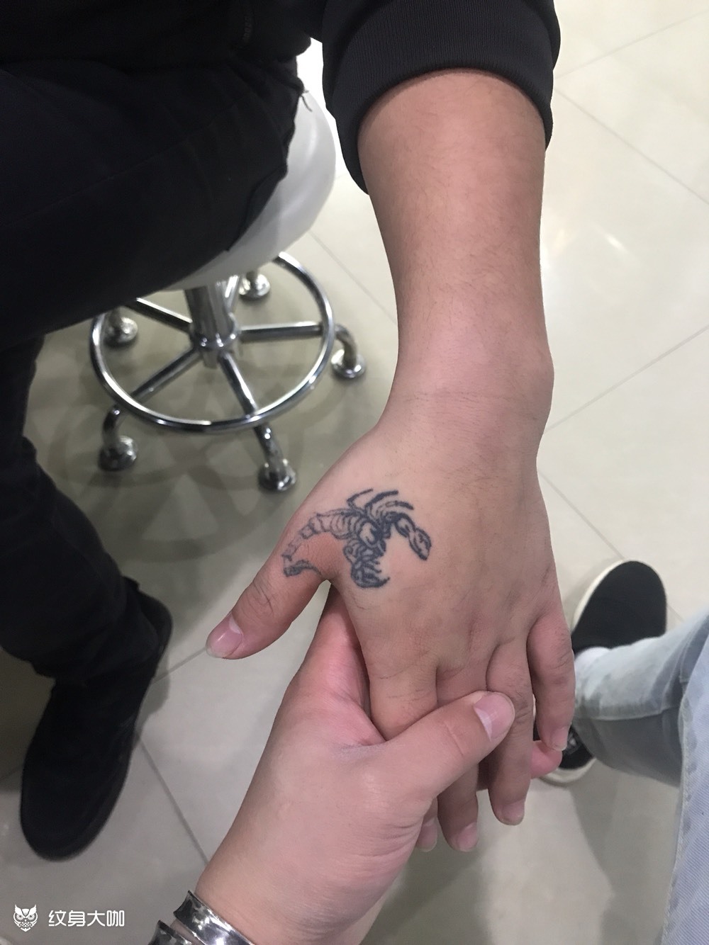 遮盖虎口蝎子蜥蜴