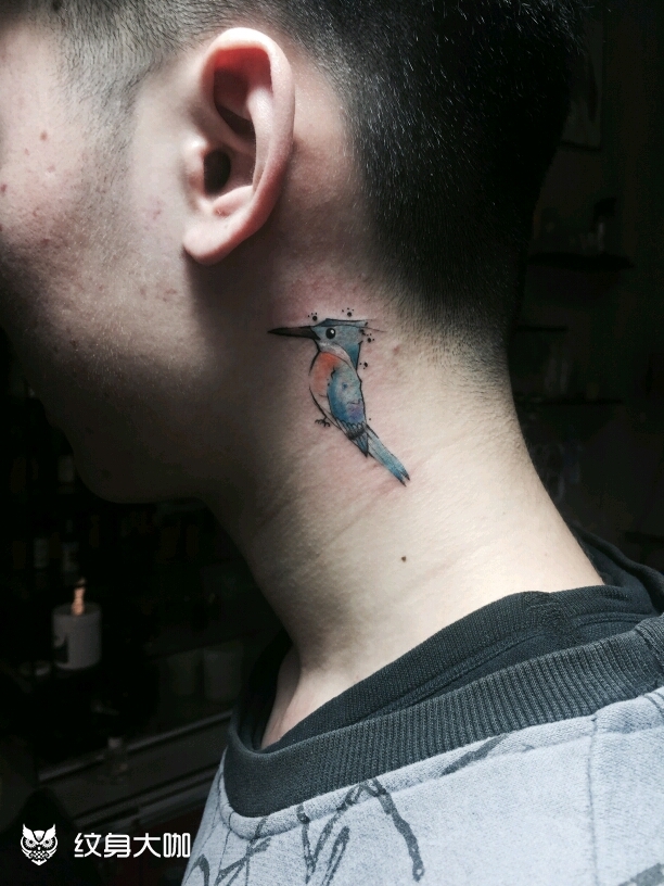 脖子蜂鸟_纹身图案手稿图片_mafia的纹身作品集