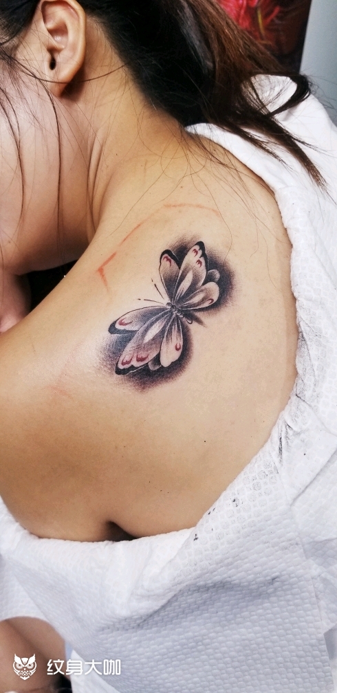 肩膀小蝴蝶_纹身图案手稿图片_刘国栋的纹身作品集