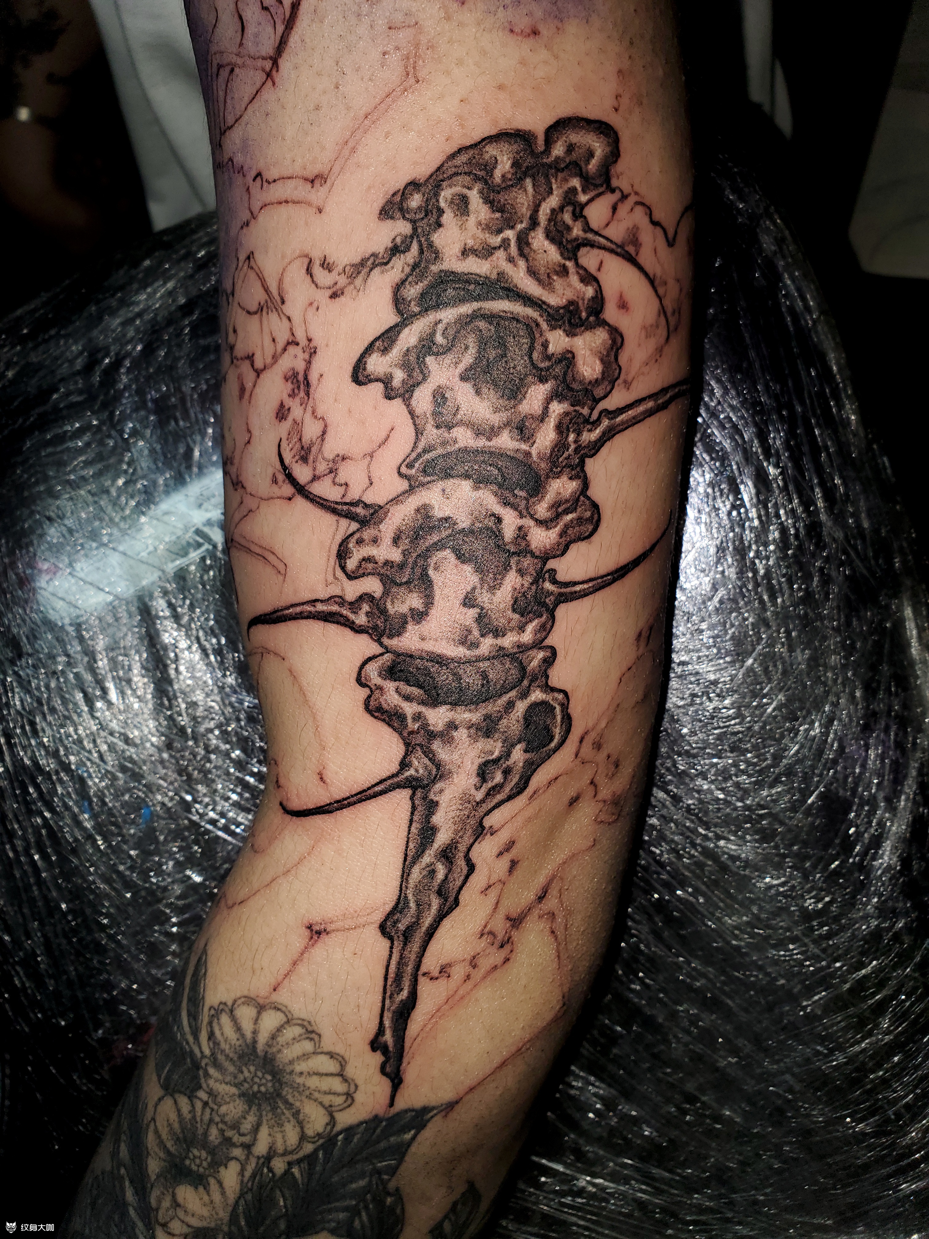 原创骨头_纹身吧社区 - 纹身大咖