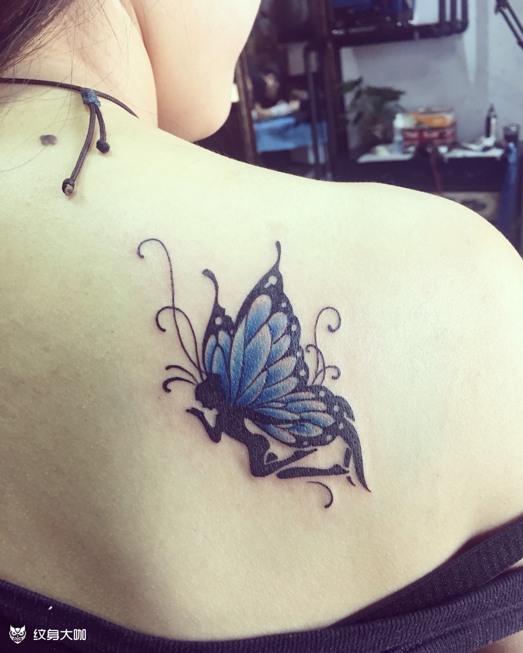 后肩蝴蝶_纹身图案手稿图片_肖峰的纹身作品集