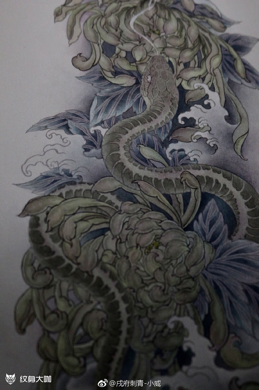 蛇戏菊花_纹身图案手稿图片_栖宿tattoo的纹身作品集
