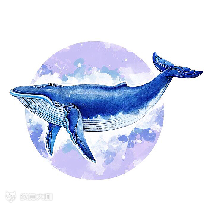 鲸鱼座是南天的一个星座,其名取_纹身吧社区 - 纹身大咖