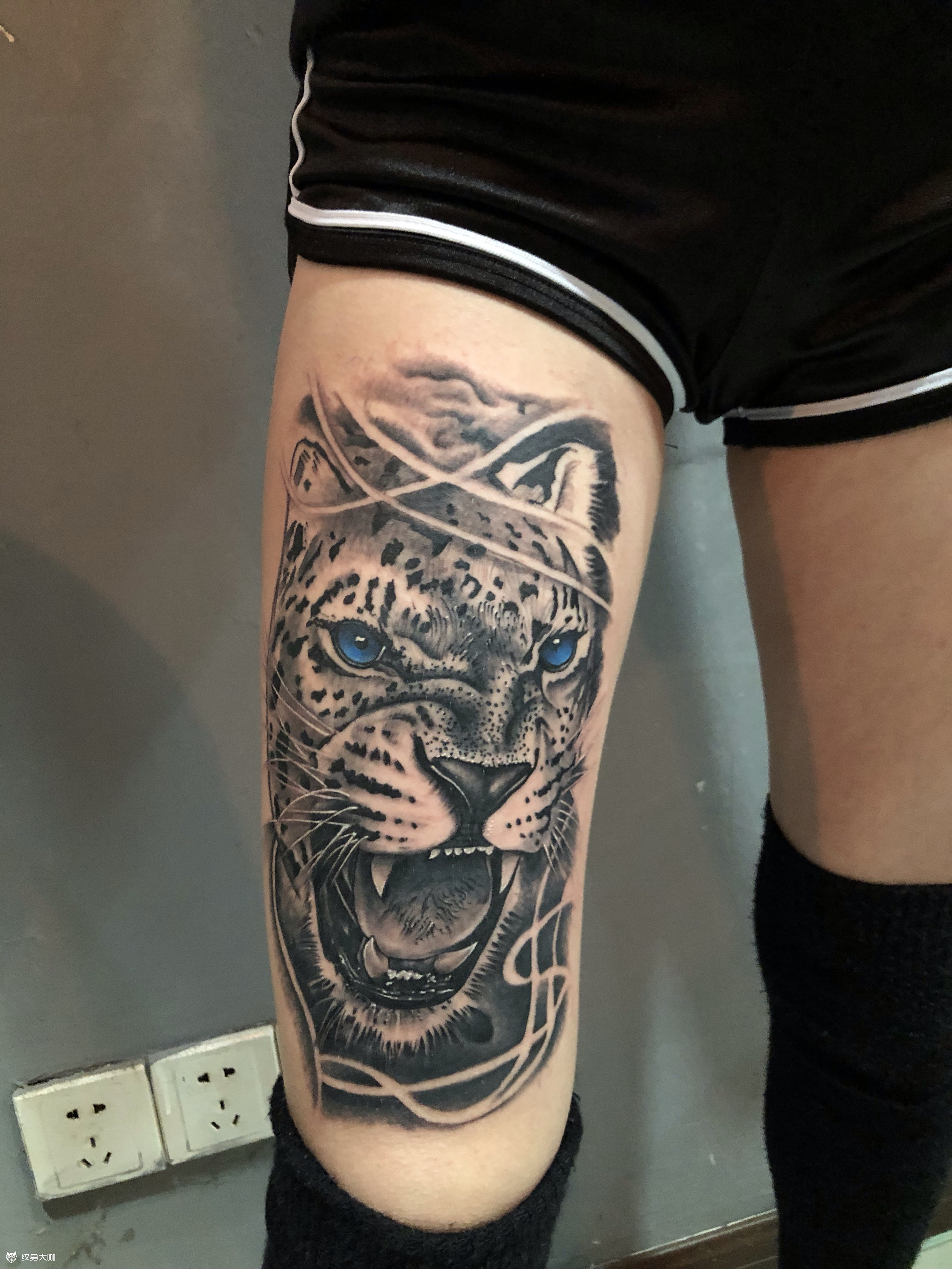 豹子_纹身图案手稿图片_陈佳的纹身作品集