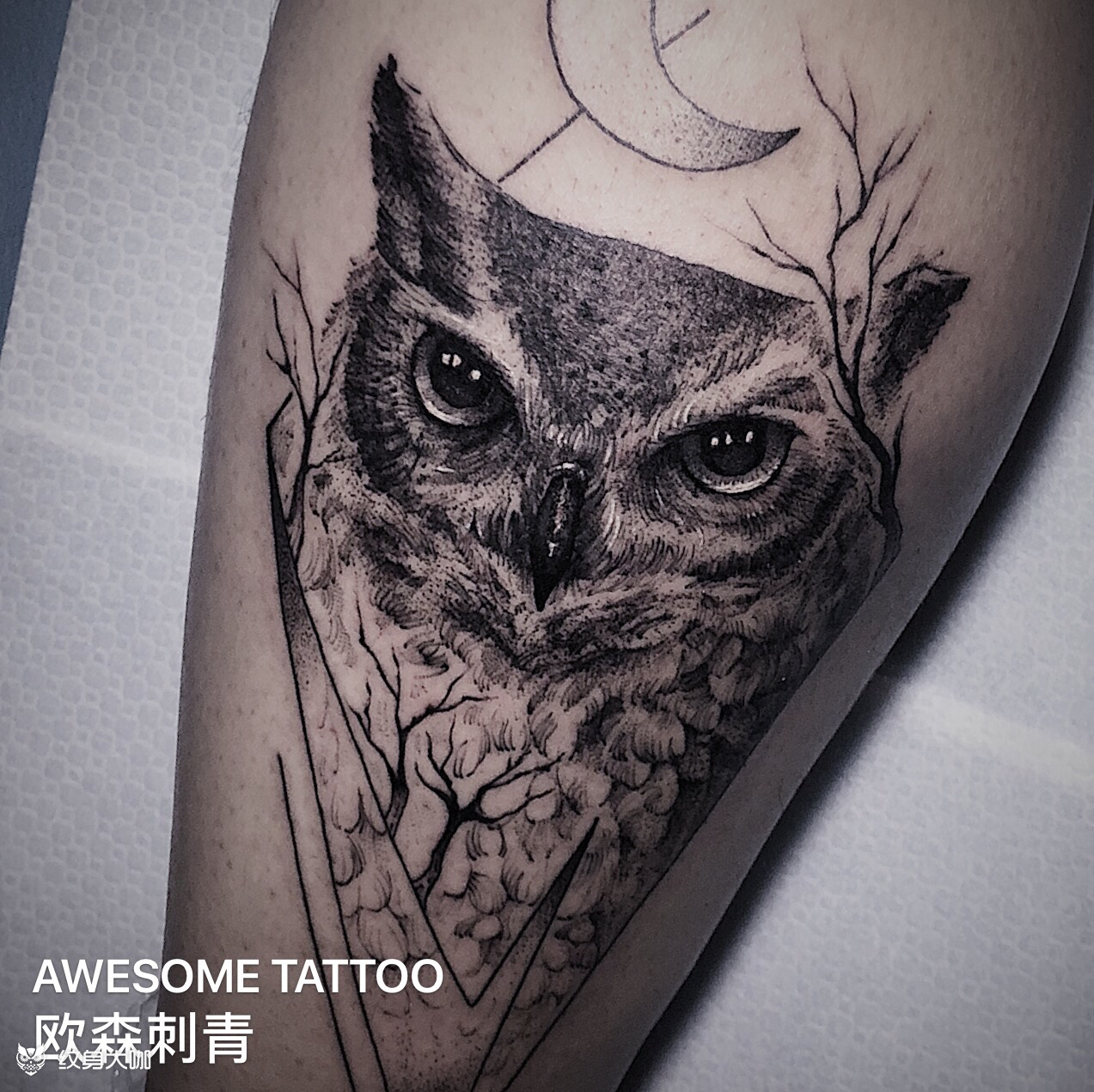猫头鹰_纹身图案手稿图片_ruiqi的纹身作品集