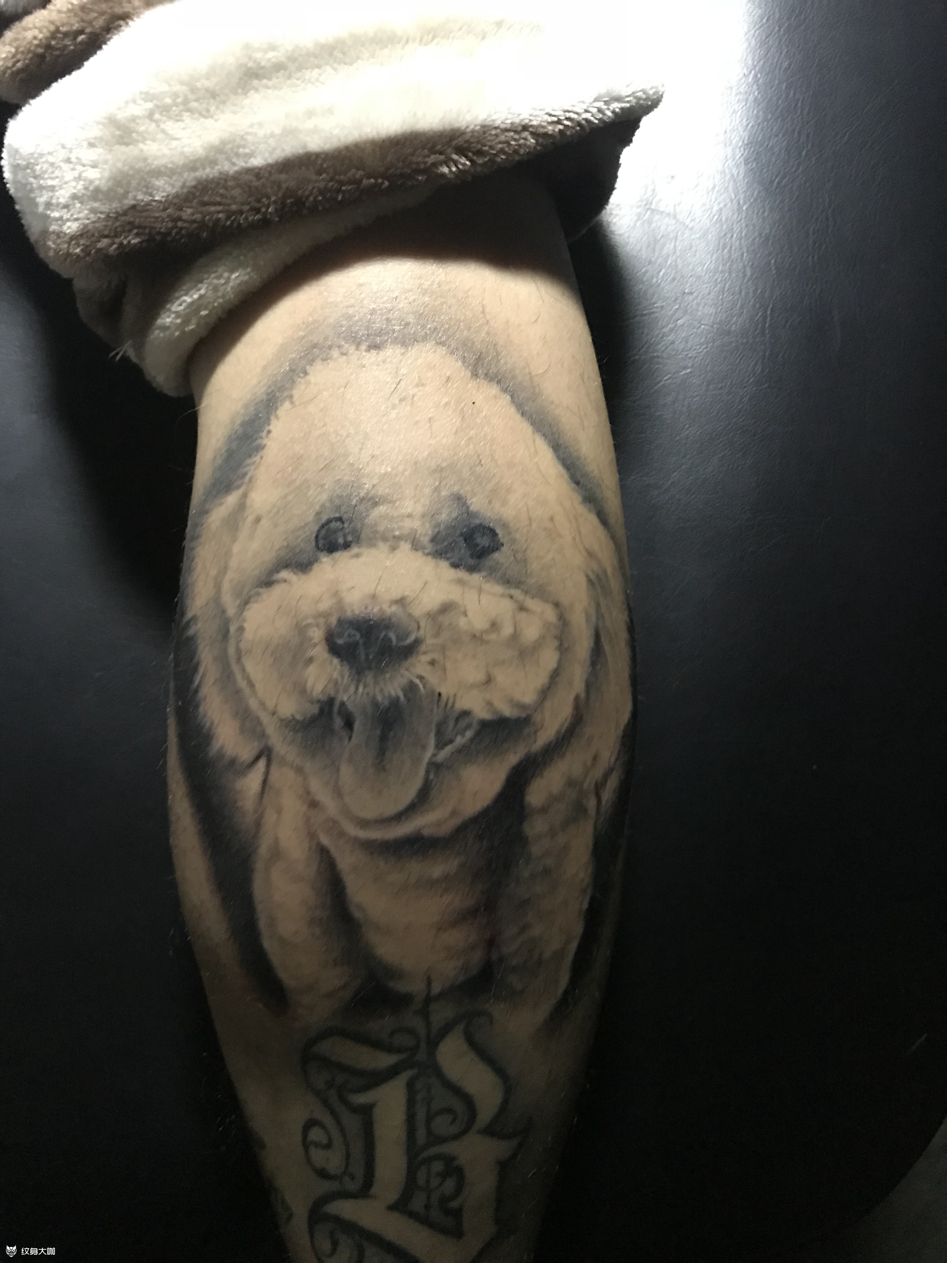 比熊_纹身图案手稿图片_fang的纹身作品集