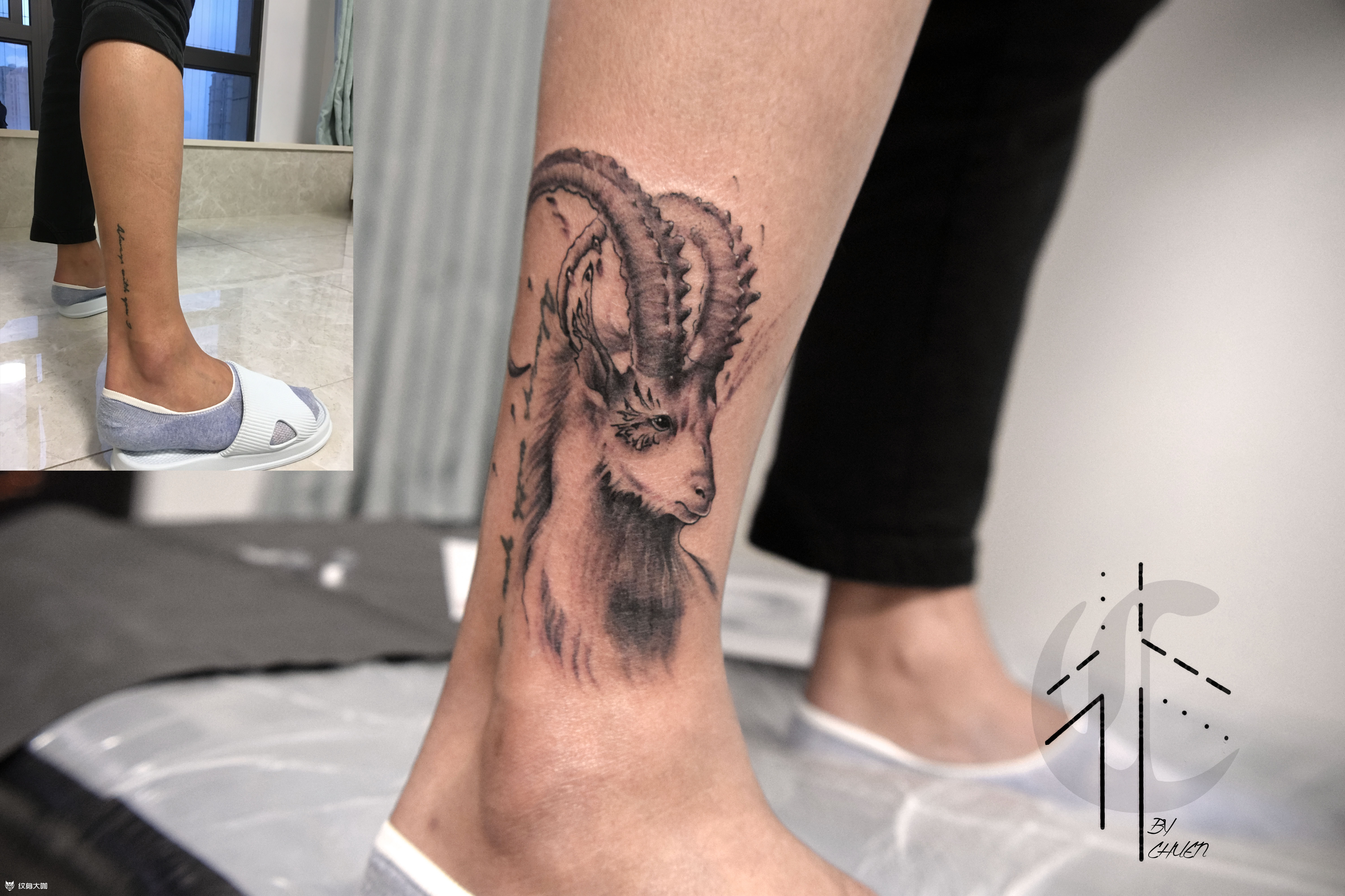 羊_纹身图案手稿图片_小铨的纹身作品集