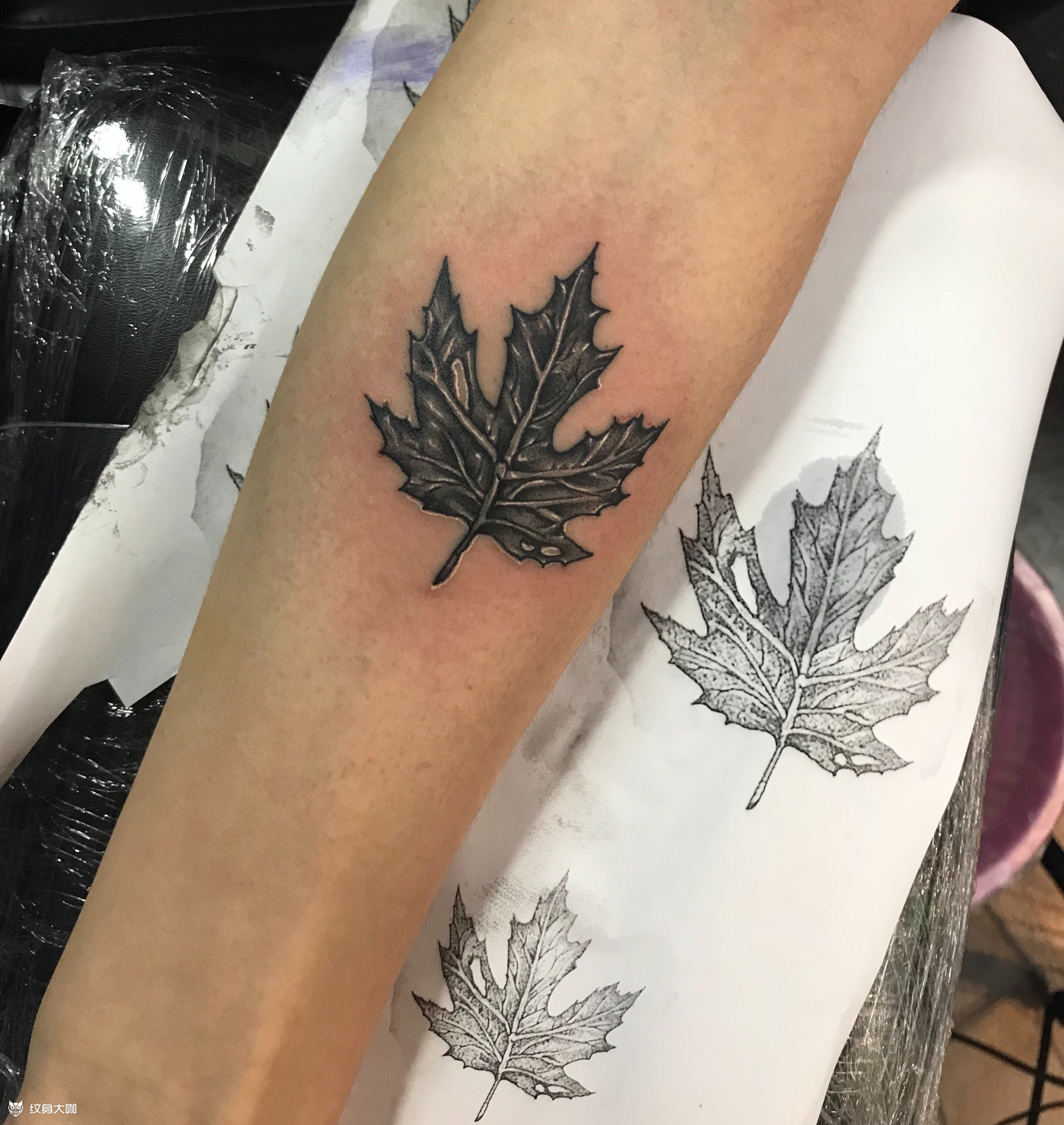 叶子_纹身图案手稿图片_子明的纹身作品集