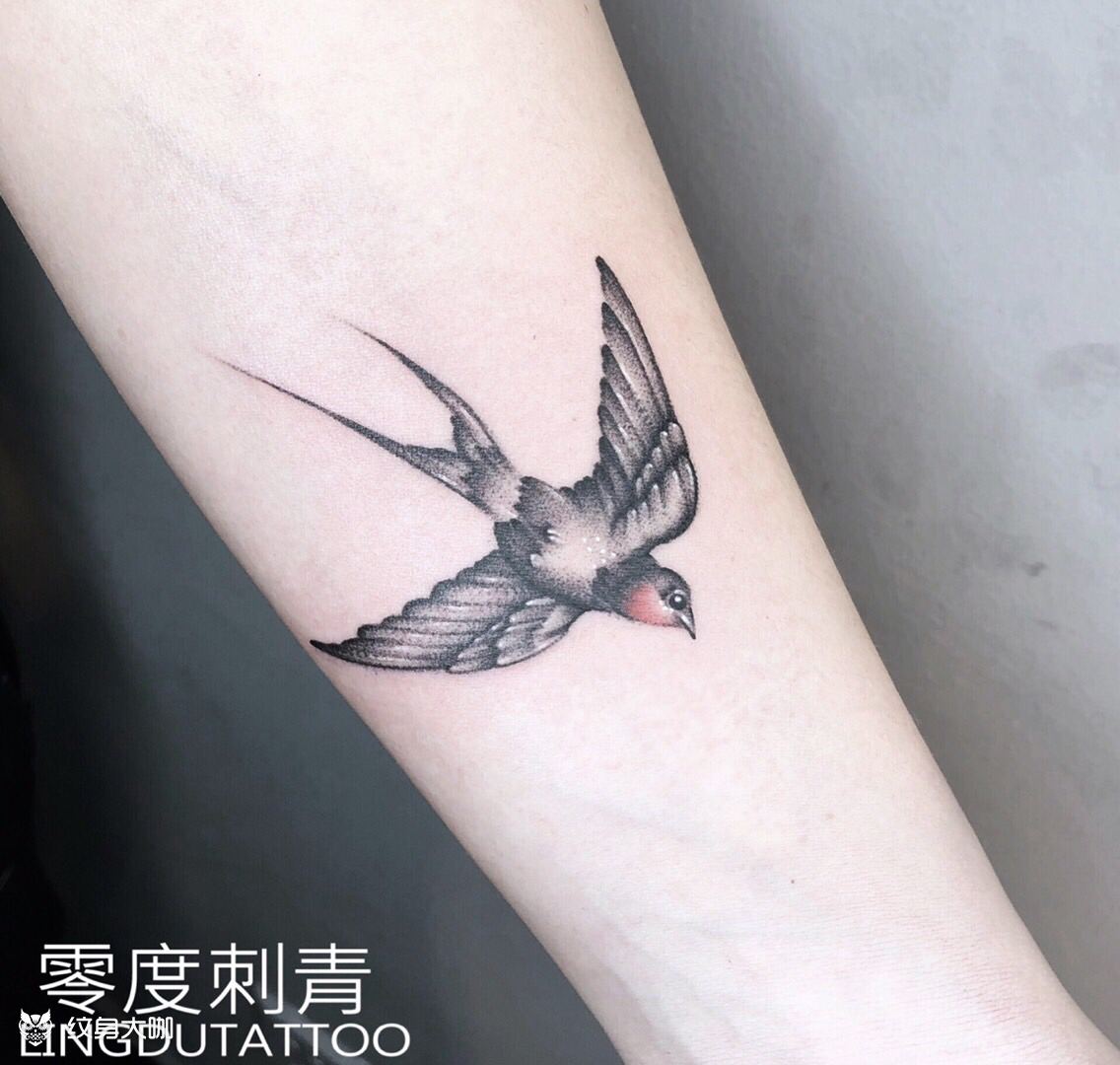 燕子_纹身图案手稿图片_黄师傅的纹身作品集