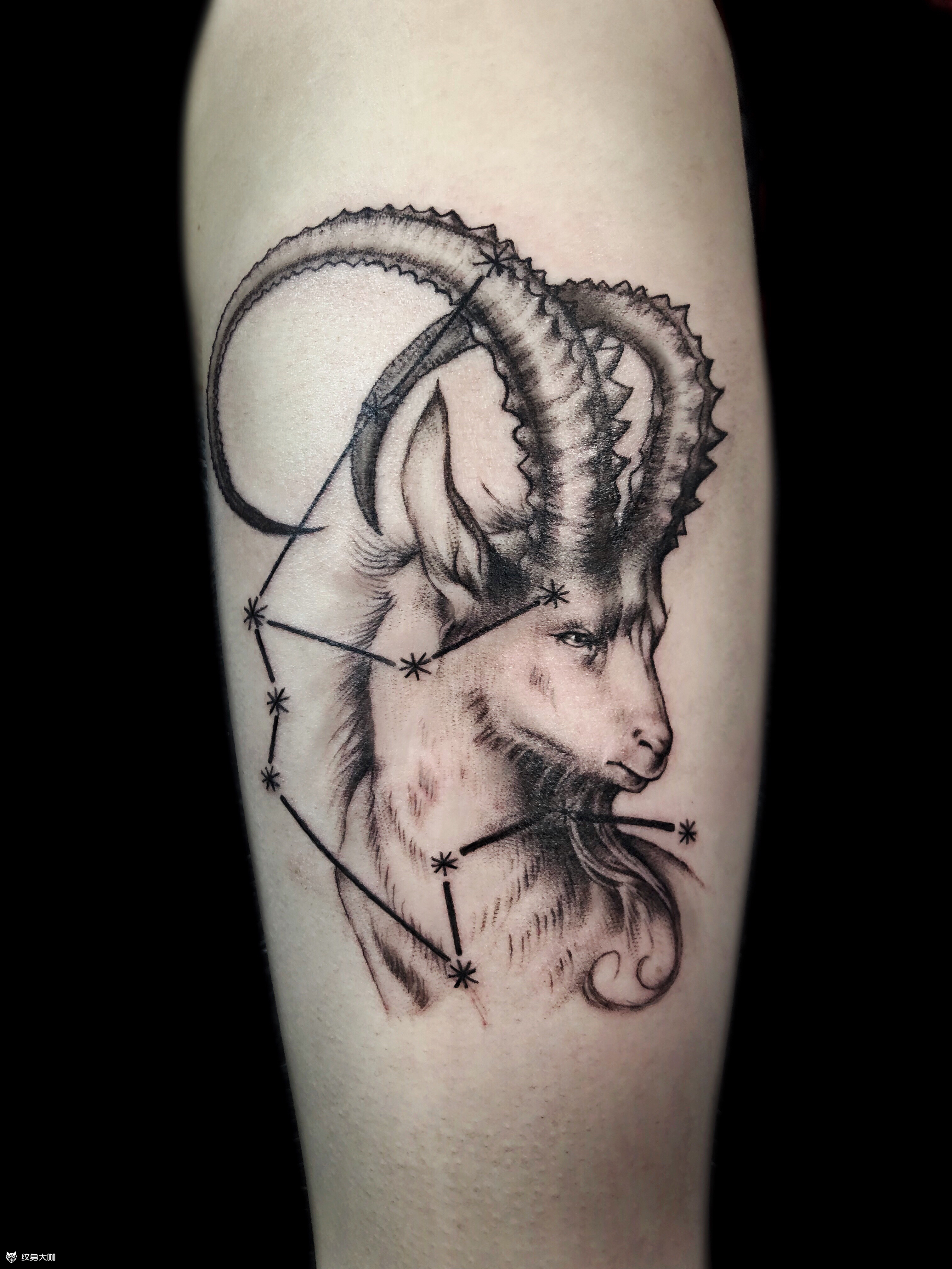 撒旦羊头纹身寓意图片