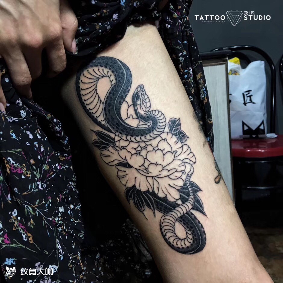 97蛇盘牡丹_纹身图案手稿图片_张宇的纹身作品集