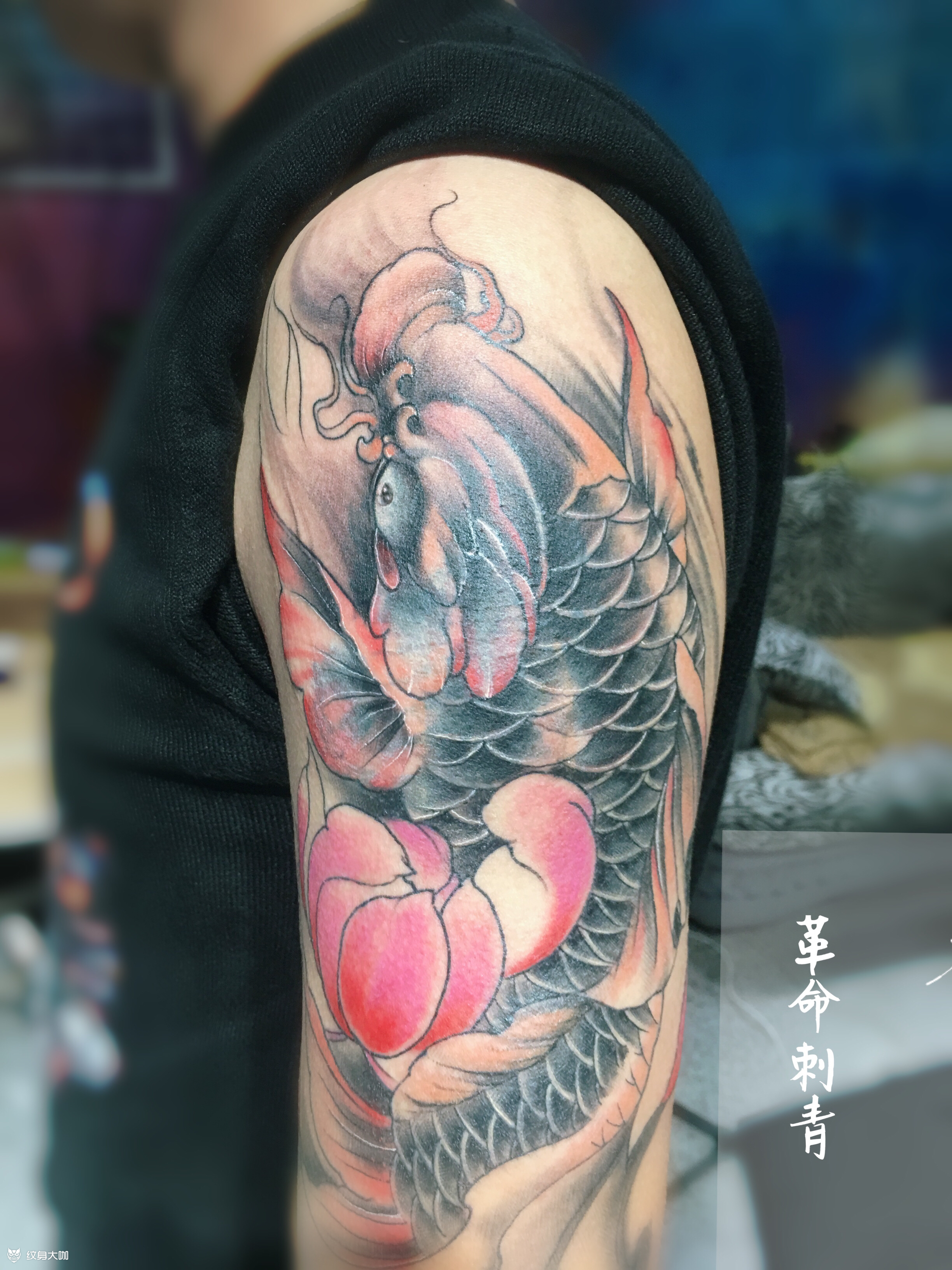 遮盖鲤鱼_纹身图案手稿图片_sir 喵的纹身作品集