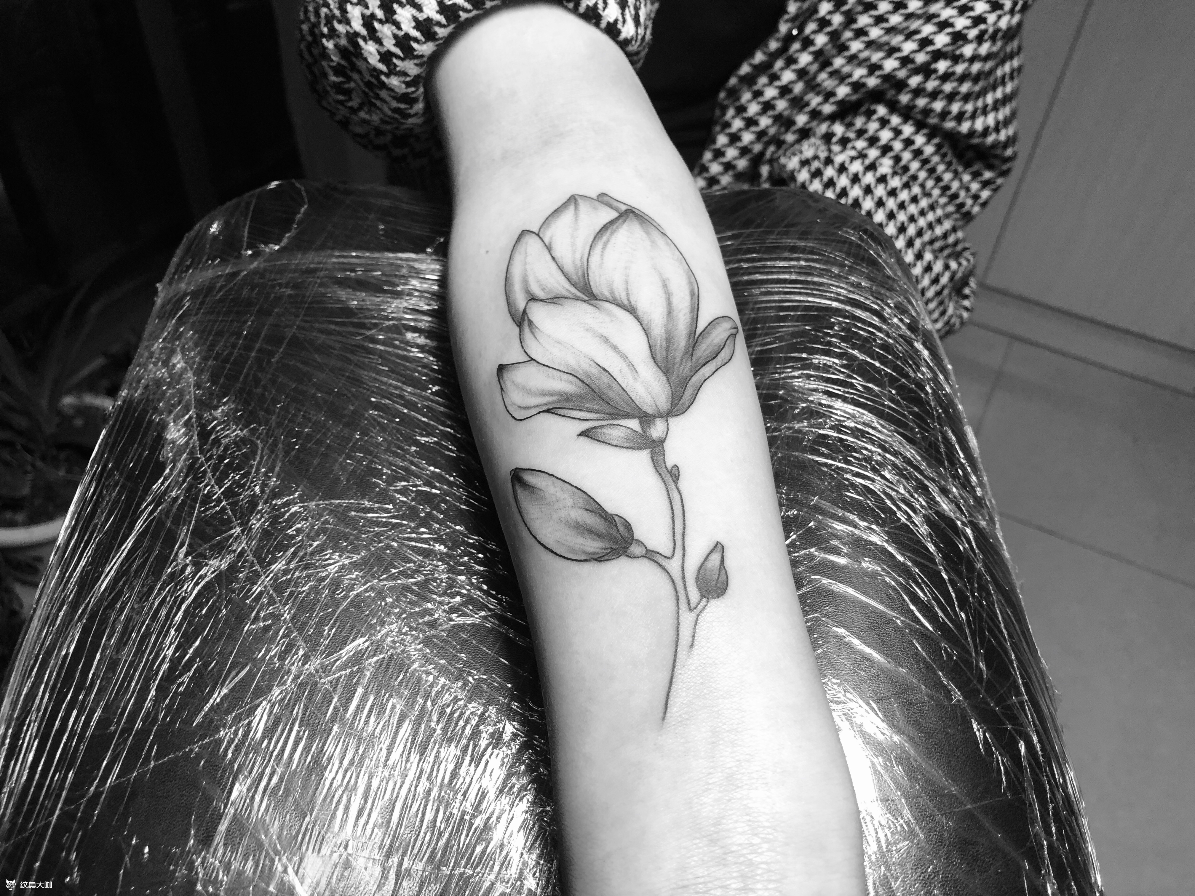 百合花_纹身图案手稿图片_余久的纹身作品集