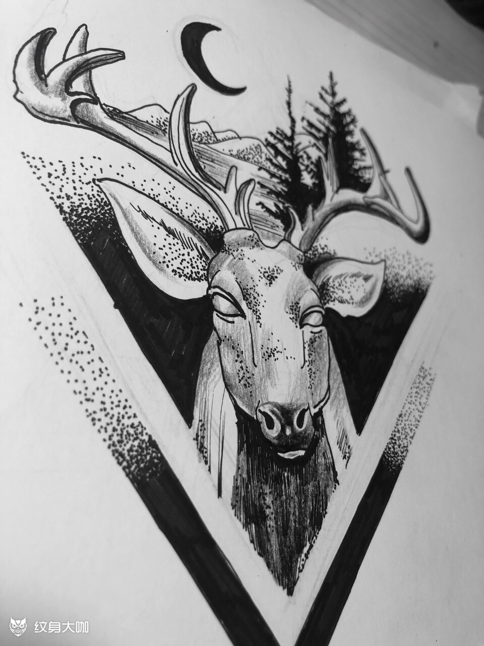 欧美麋鹿鹿头纹身手稿图片