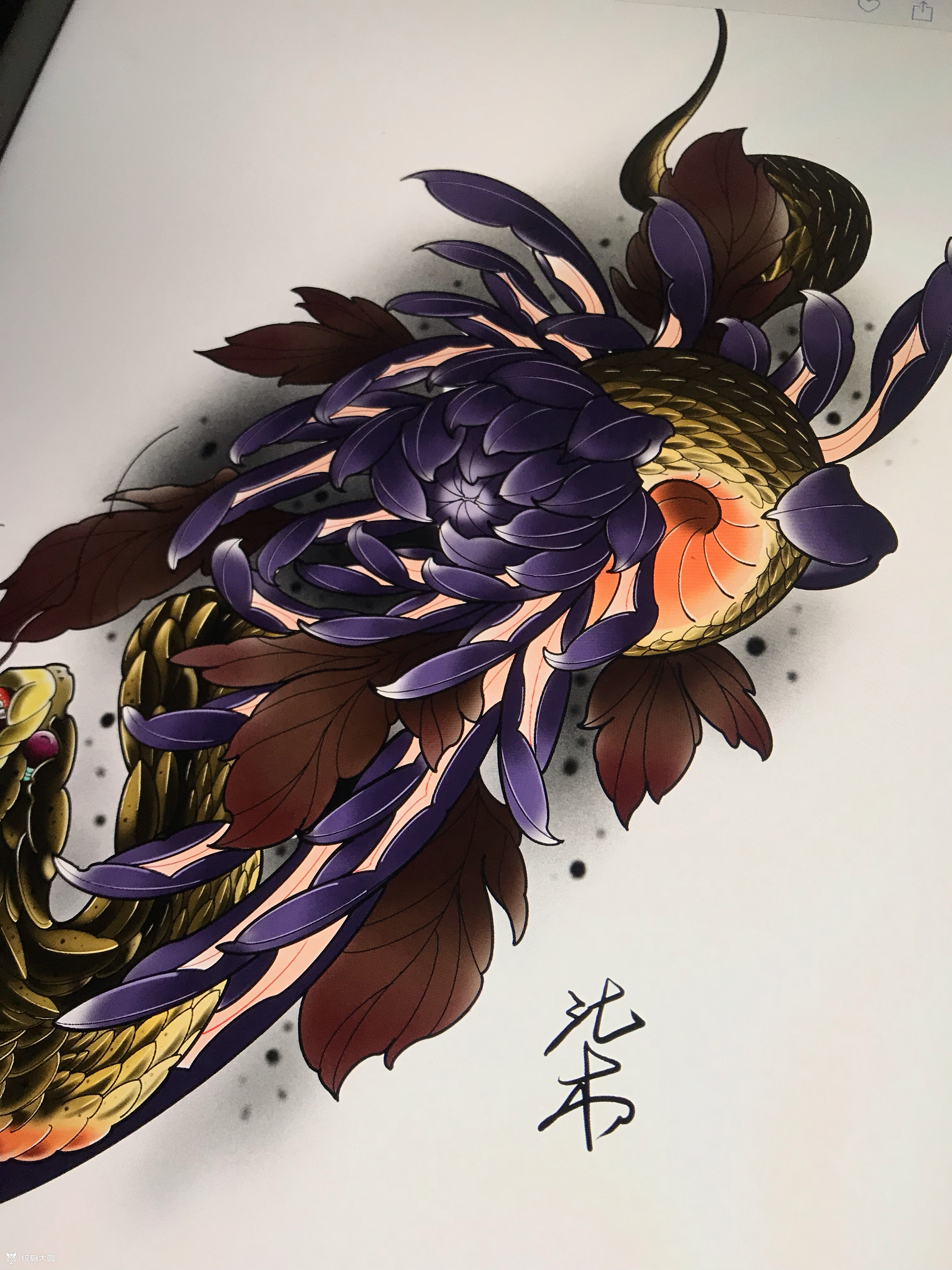 菊花_纹身图案手稿图片_良子的纹身作品集