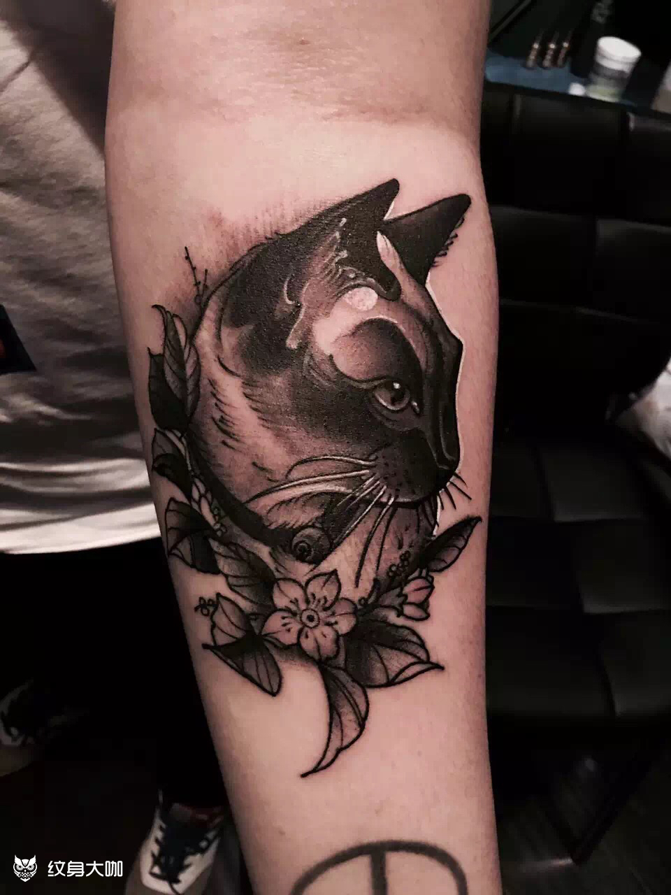 暹罗猫_纹身图案手稿图片_国佳的纹身作品集