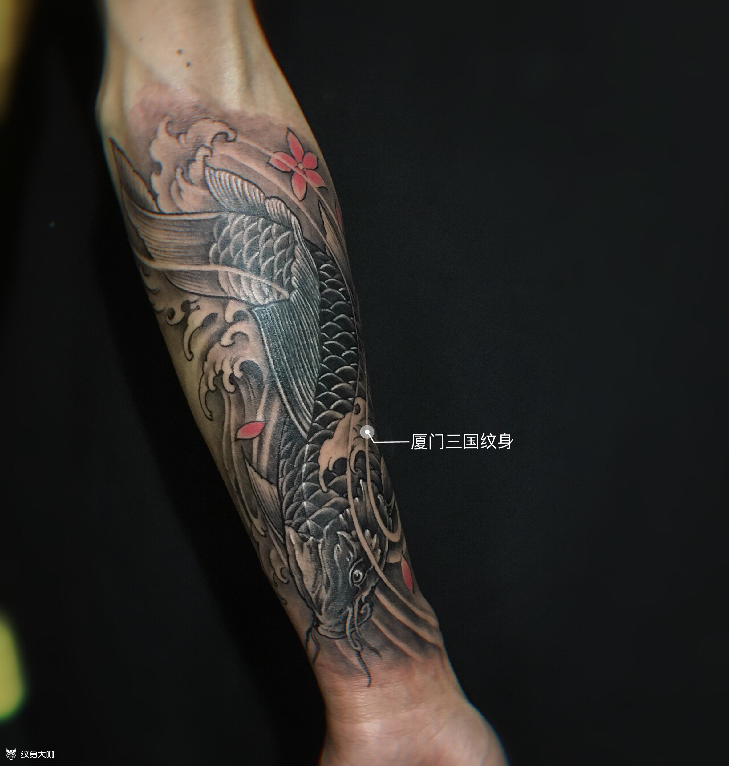 鲤鱼遮盖_纹身图案手稿图片_张洪坤的纹身作品集