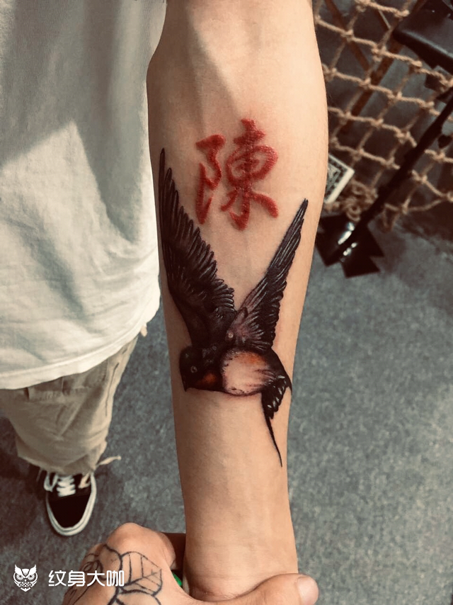 燕子_纹身图案手稿图片_小周的纹身作品集