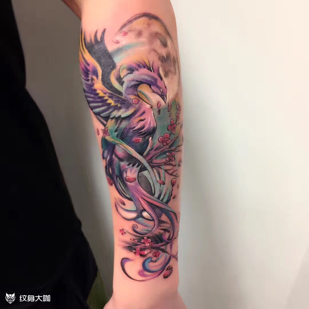 彩色凤凰_纹身图案手稿图片_李雪竹的纹身作品集
